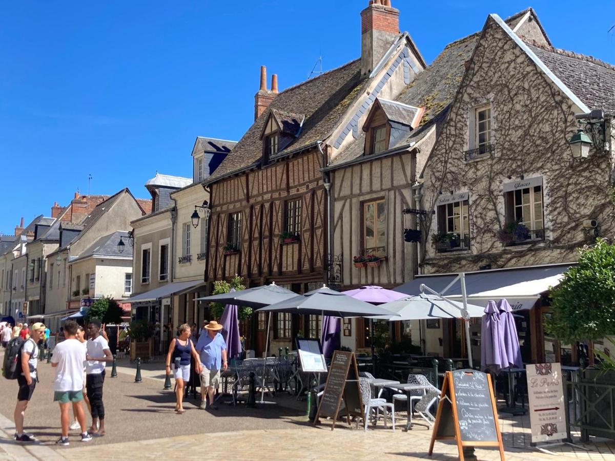 L'Amboisienne, Au Pays Des Chateaux Amboise Exteriér fotografie
